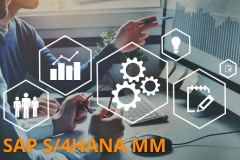 SAP S/4HANA - Materials Management - Processes